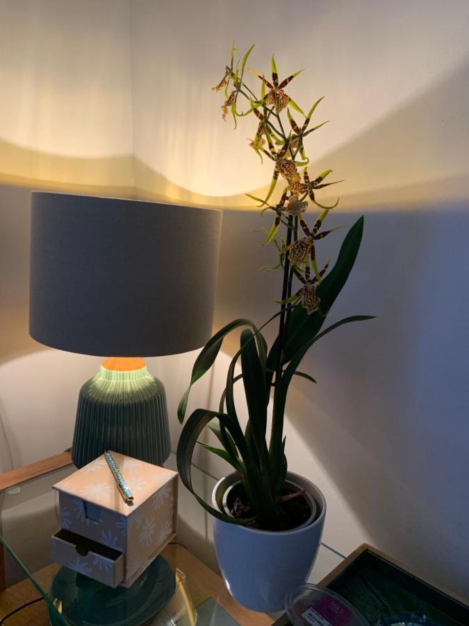 Hideaway Holiday Apartment Salisbury Kültér fotó